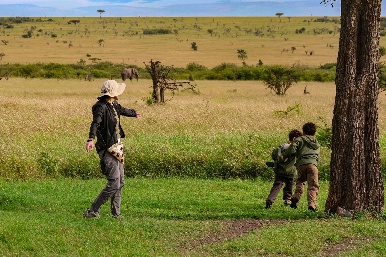 African safari