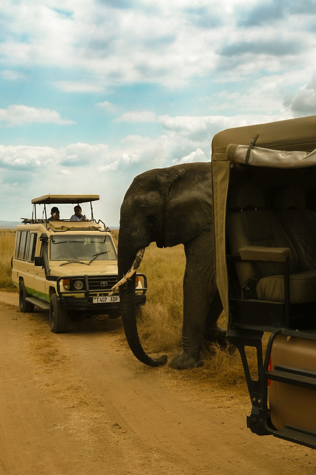 East African landscape