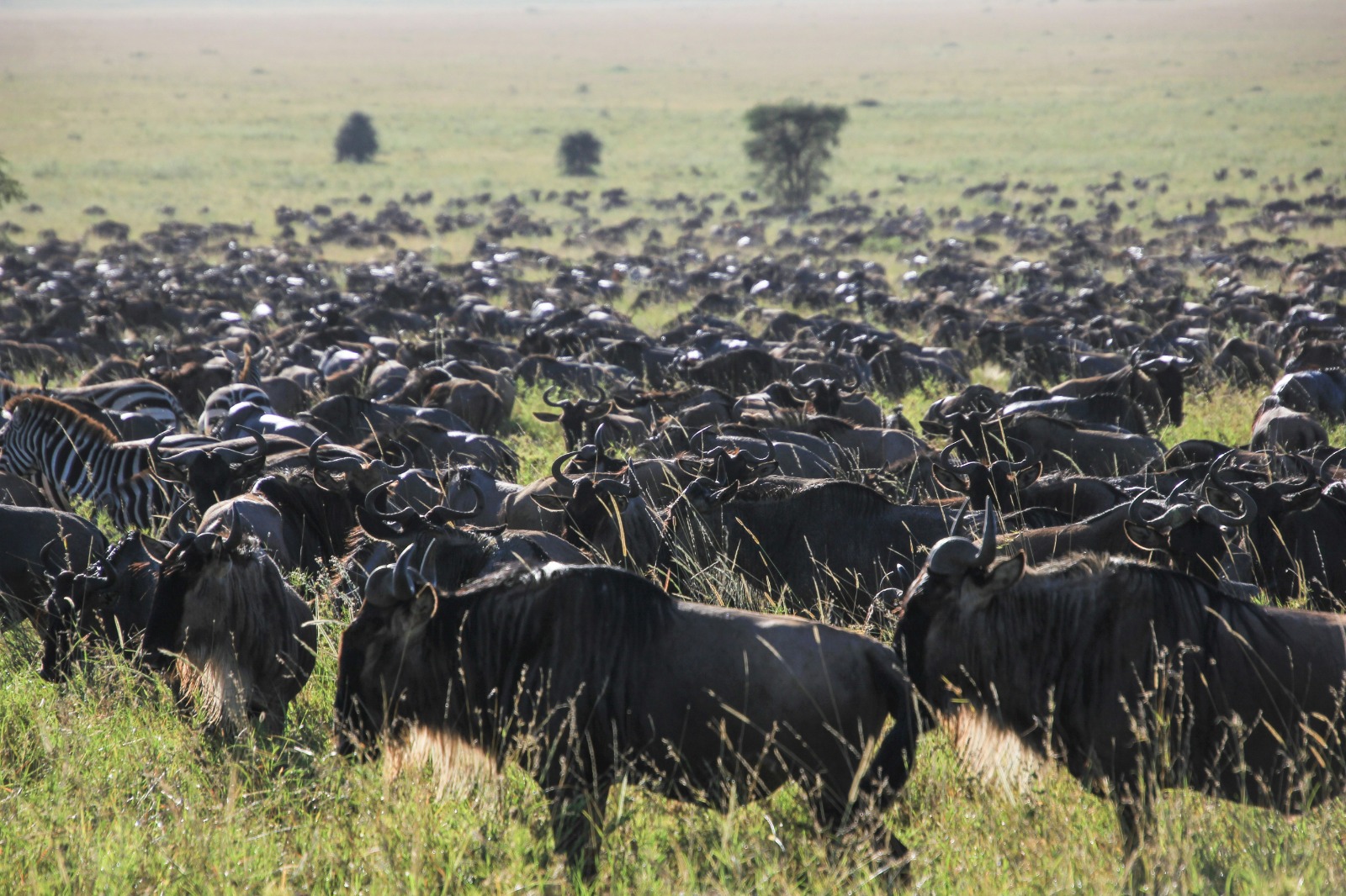 Tanzania Cultural Safari