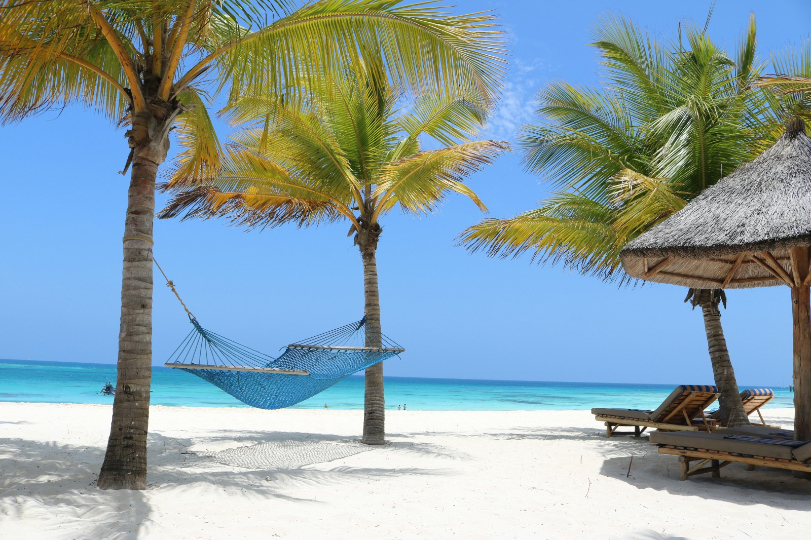 Tanzania Safari Zanzibar