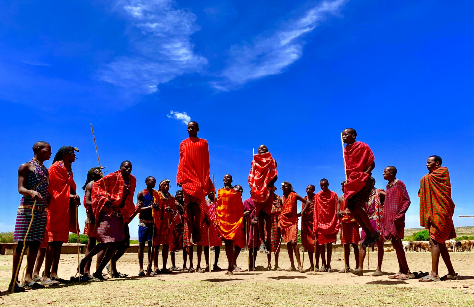 Kenya Safari