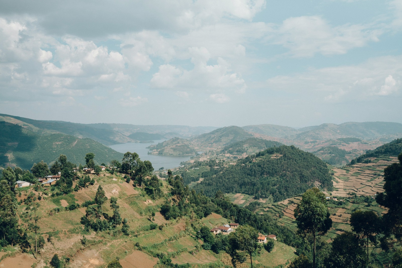 East Africa nature