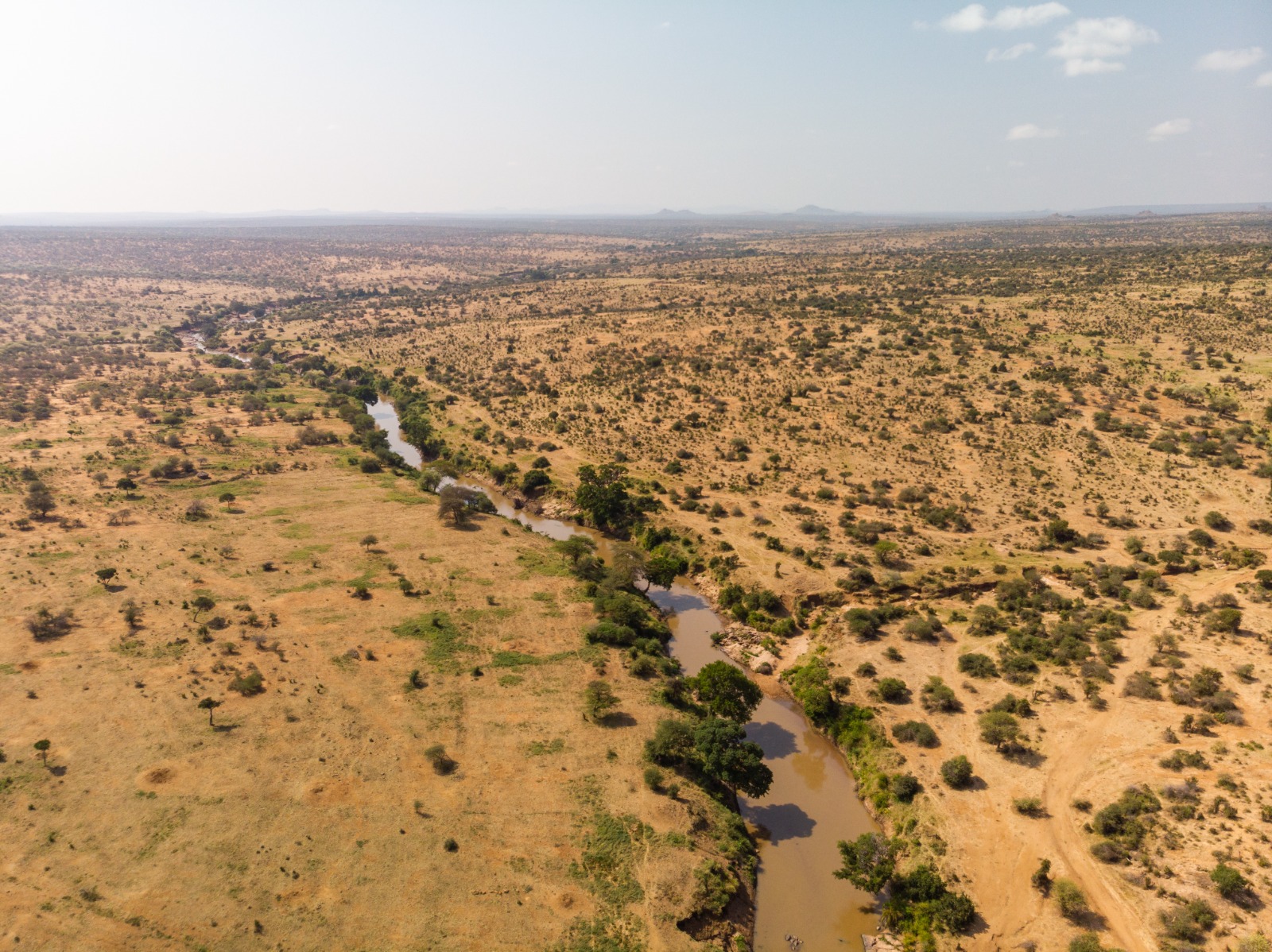 Gisu Safaris wildlife