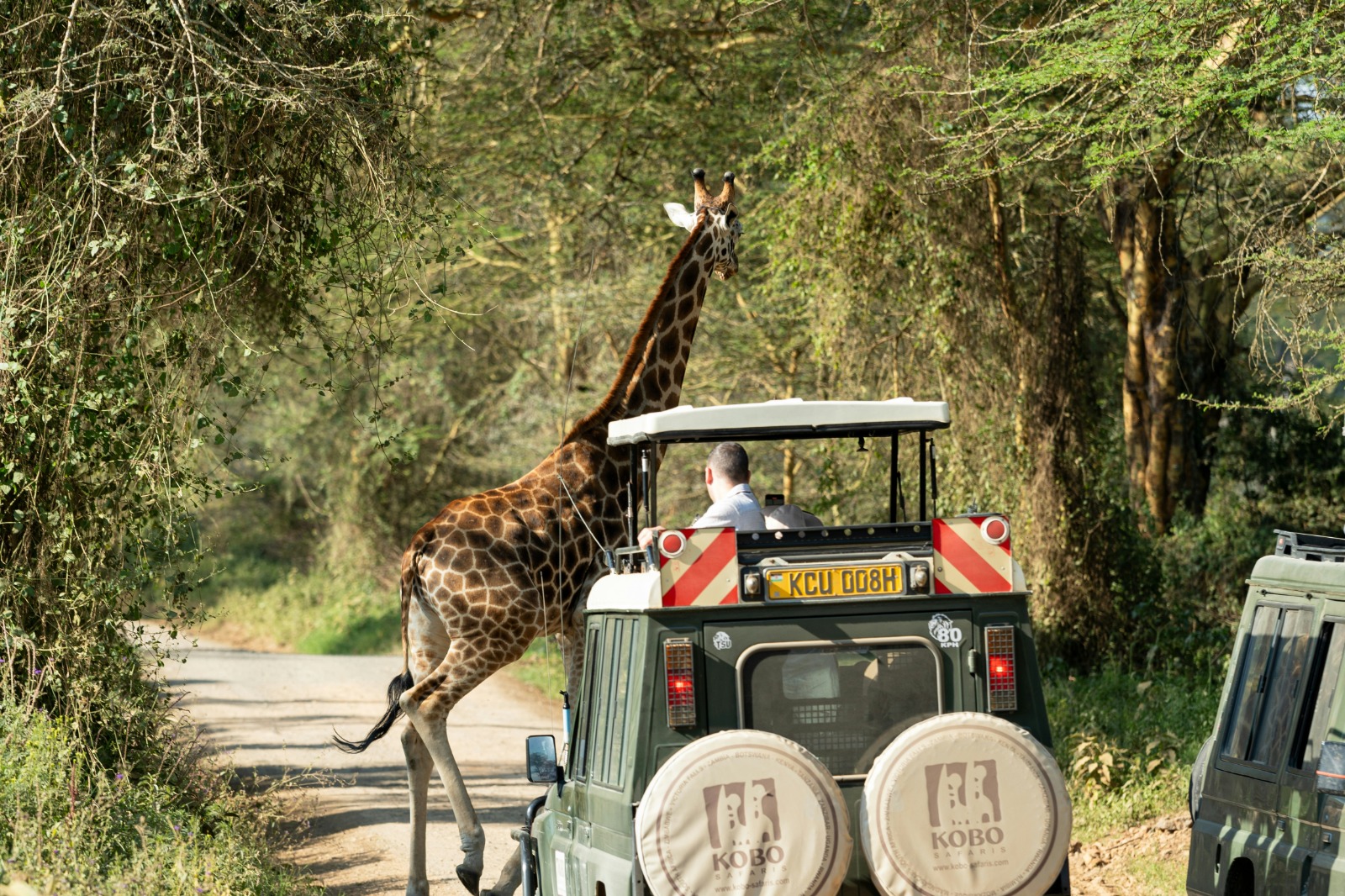 Gisu Safaris East Africa