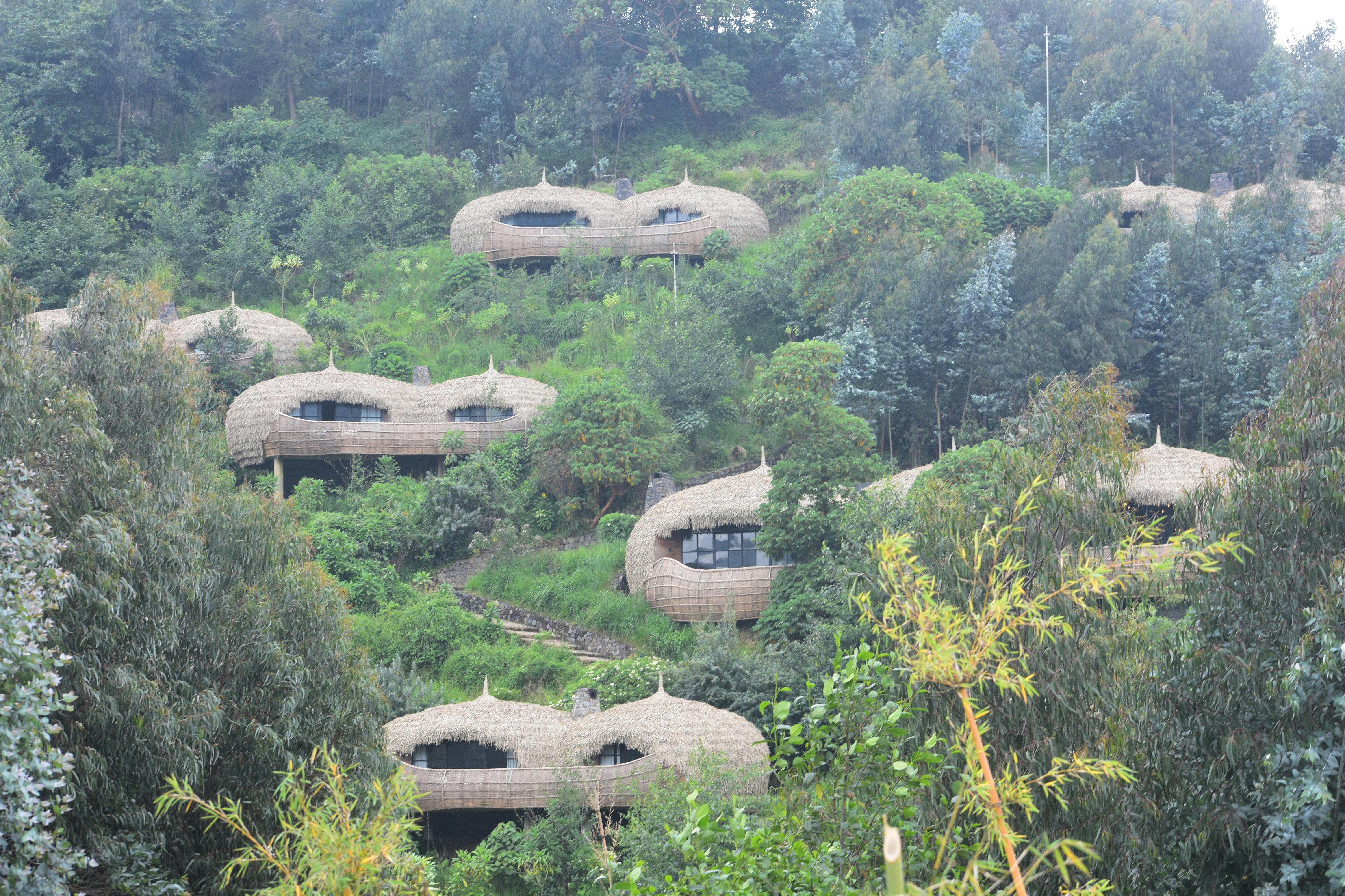 Best of Rwanda Tour