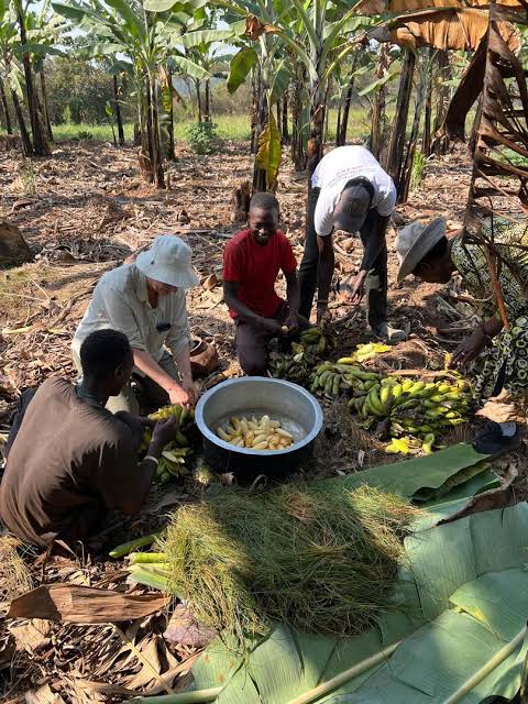 Gisu Safaris wildlife