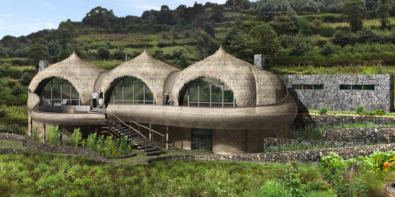 Rwanda Volcanoes Safari